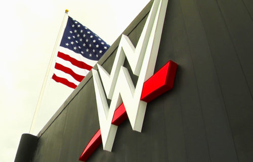 WWE finally acquire full ownership of WarGames match name