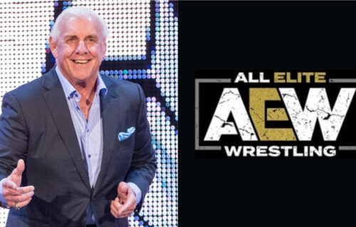 Ric Flair Text Messages To AEW Female Star Leak